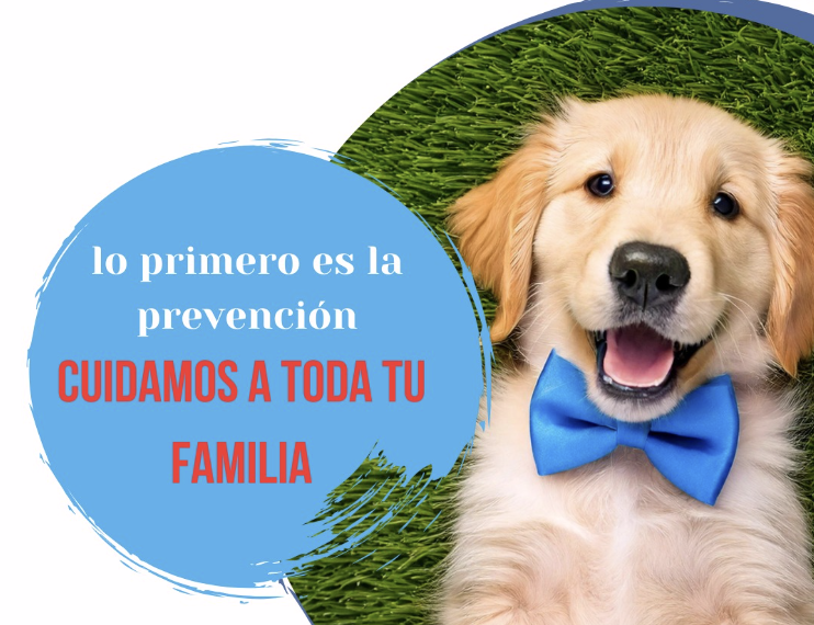 Productos seguros para mascotas y familia